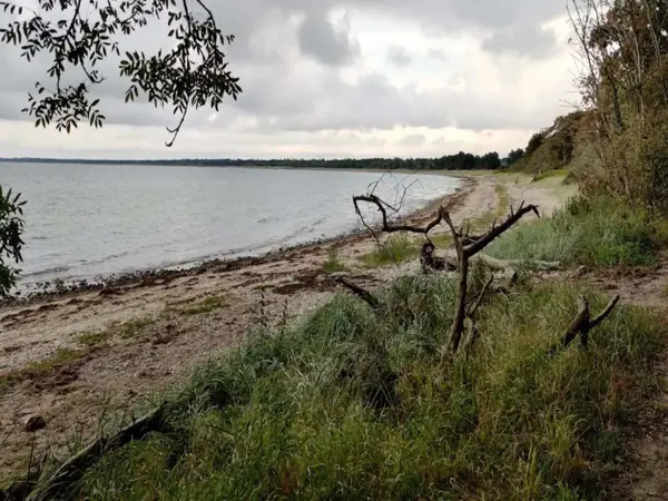 Bild 25 von 52
