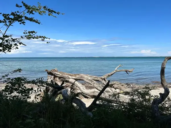 Bild 29 von 52