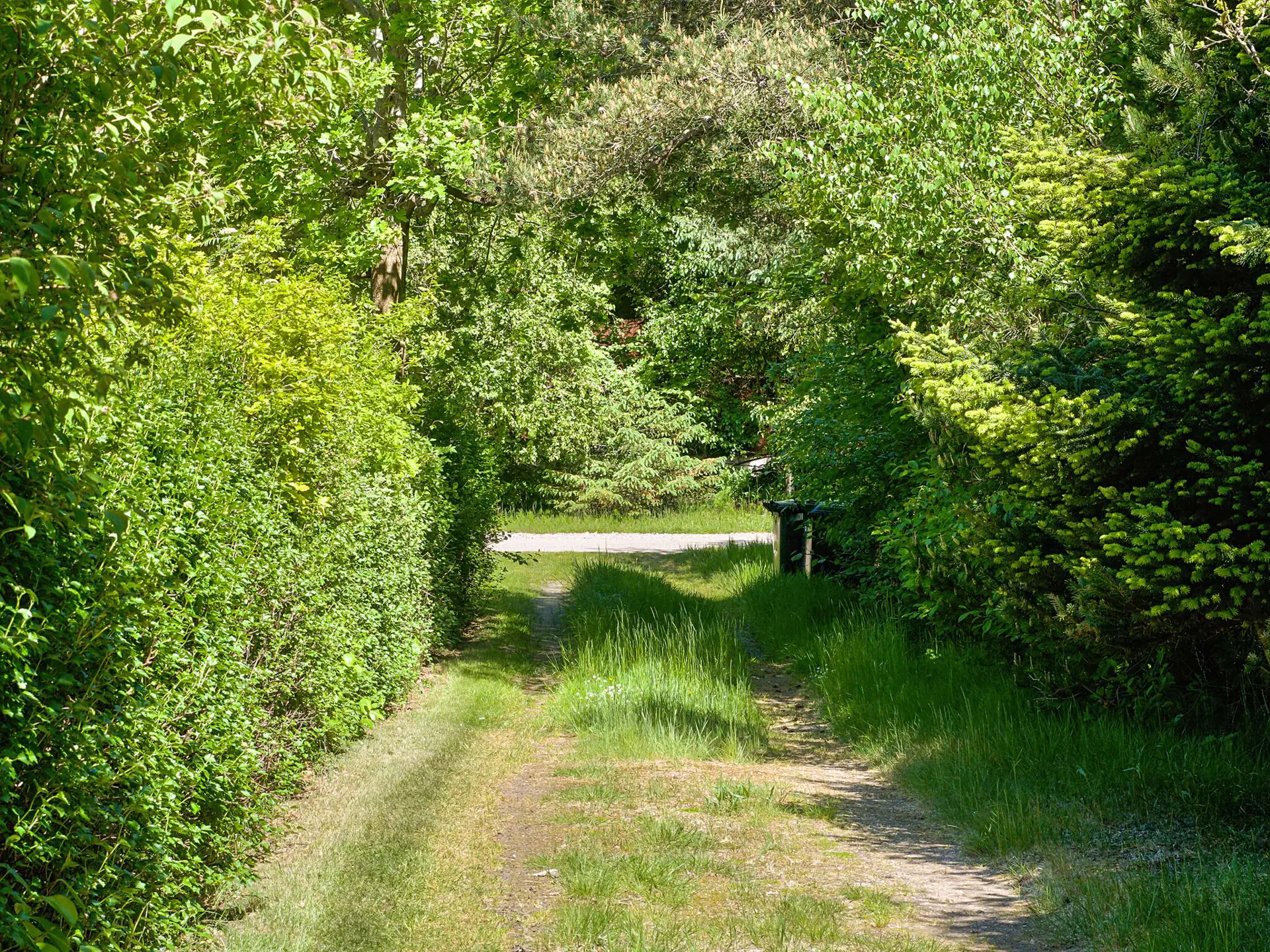Bild 13 von 39