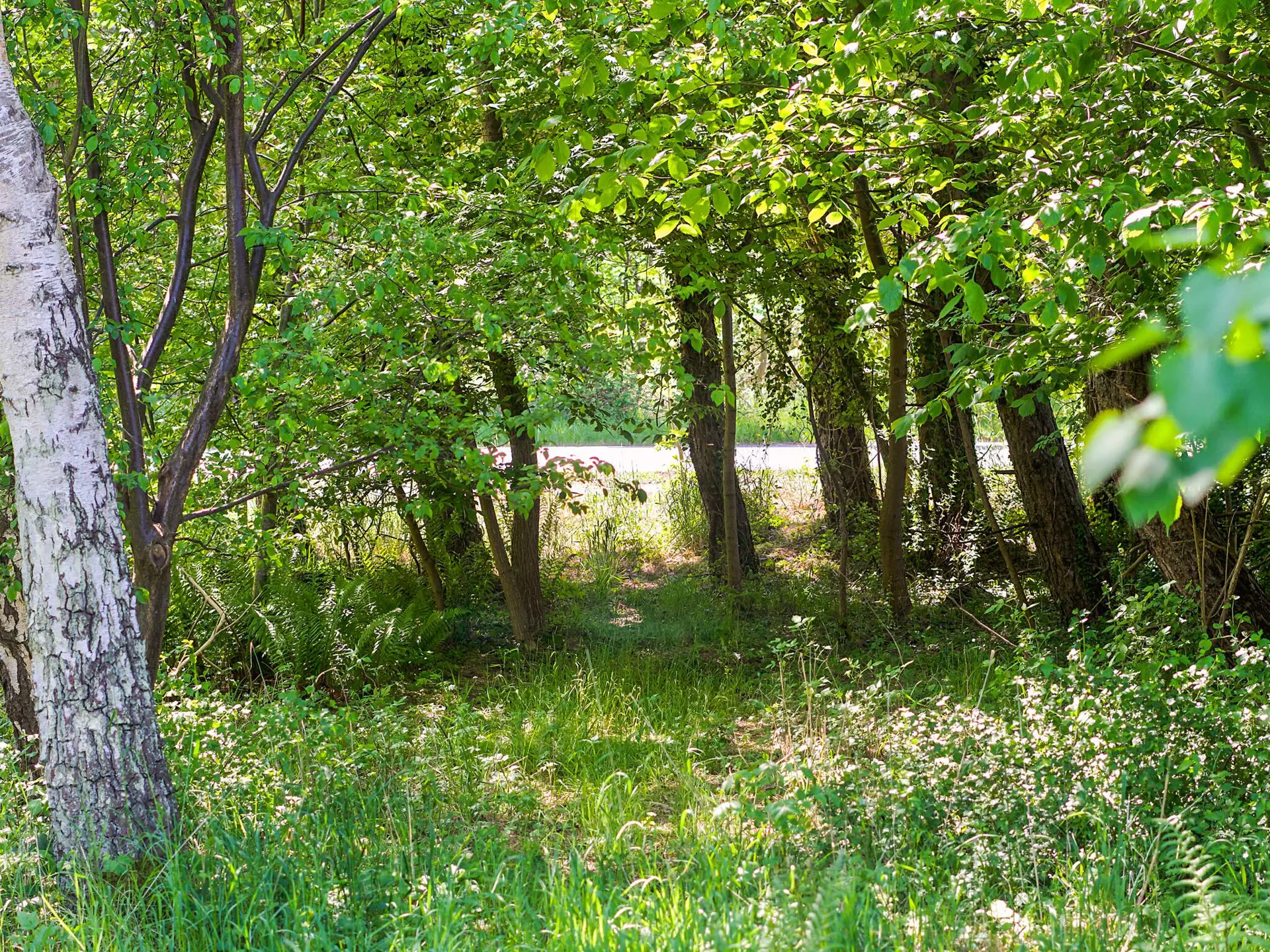 Bild 18 von 39
