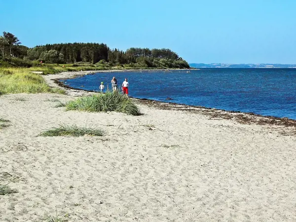 Bild 36 von 39