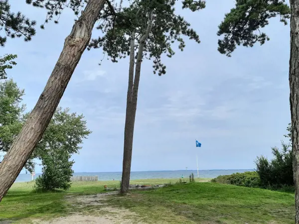 Bild 39 von 39