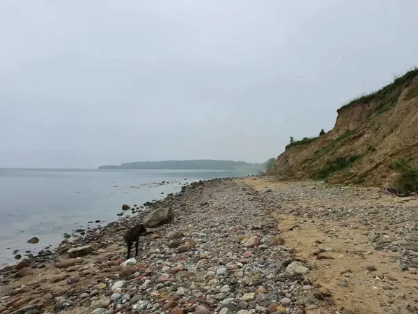Bild 25 von 51