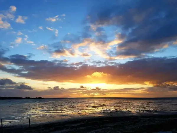 Bild 31 von 49