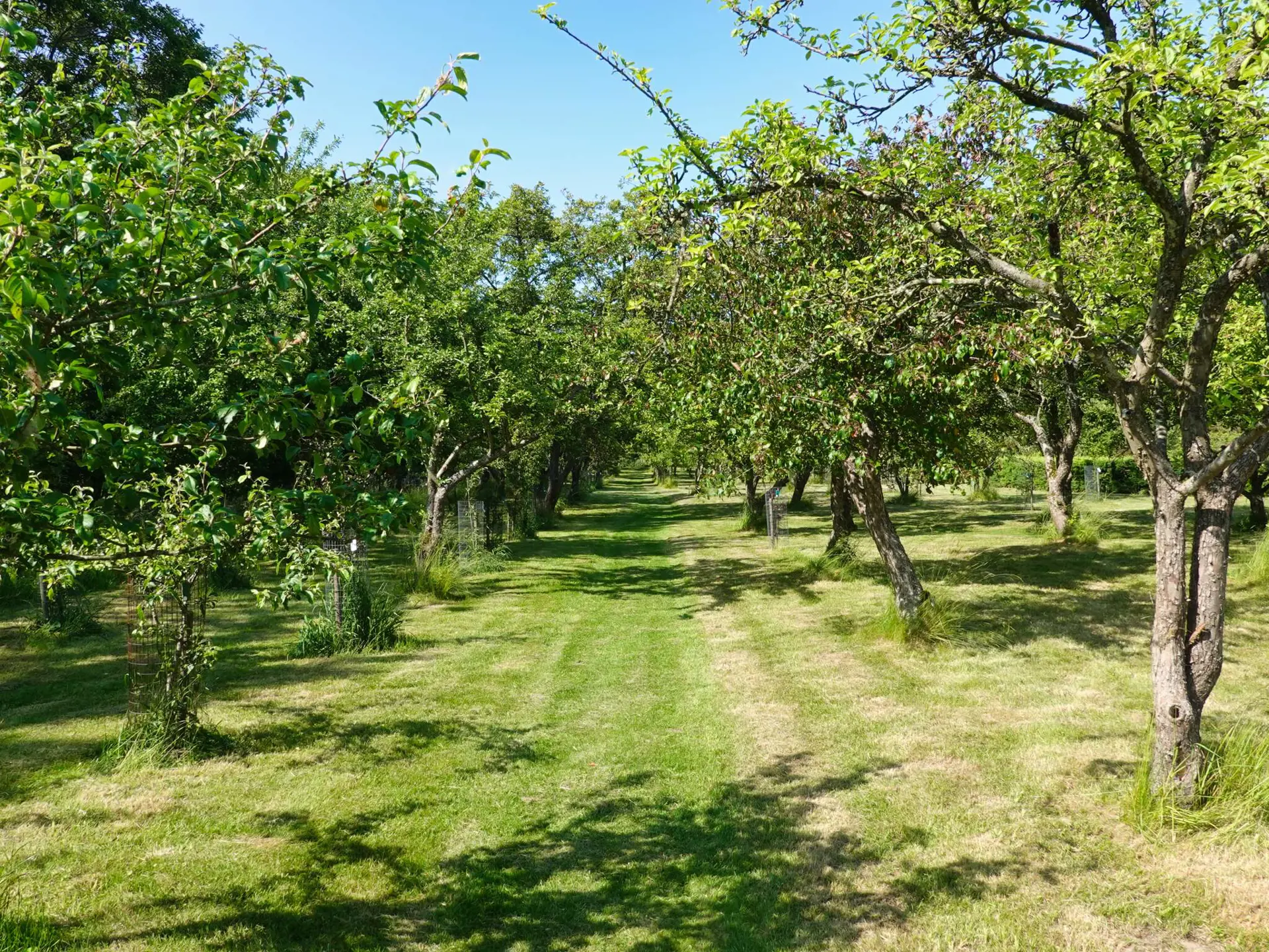 Bild 37 von 40