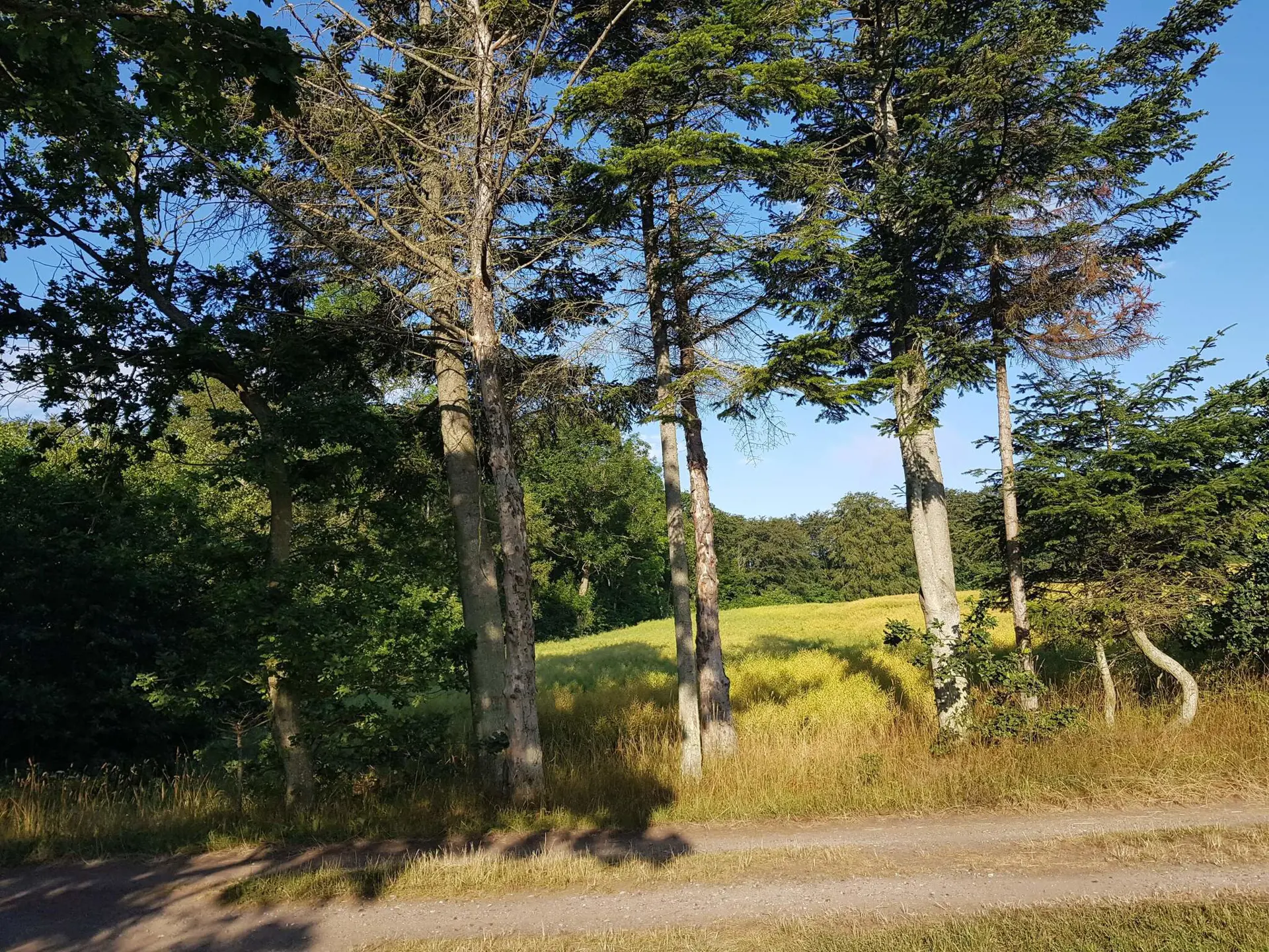 Bild 38 von 40