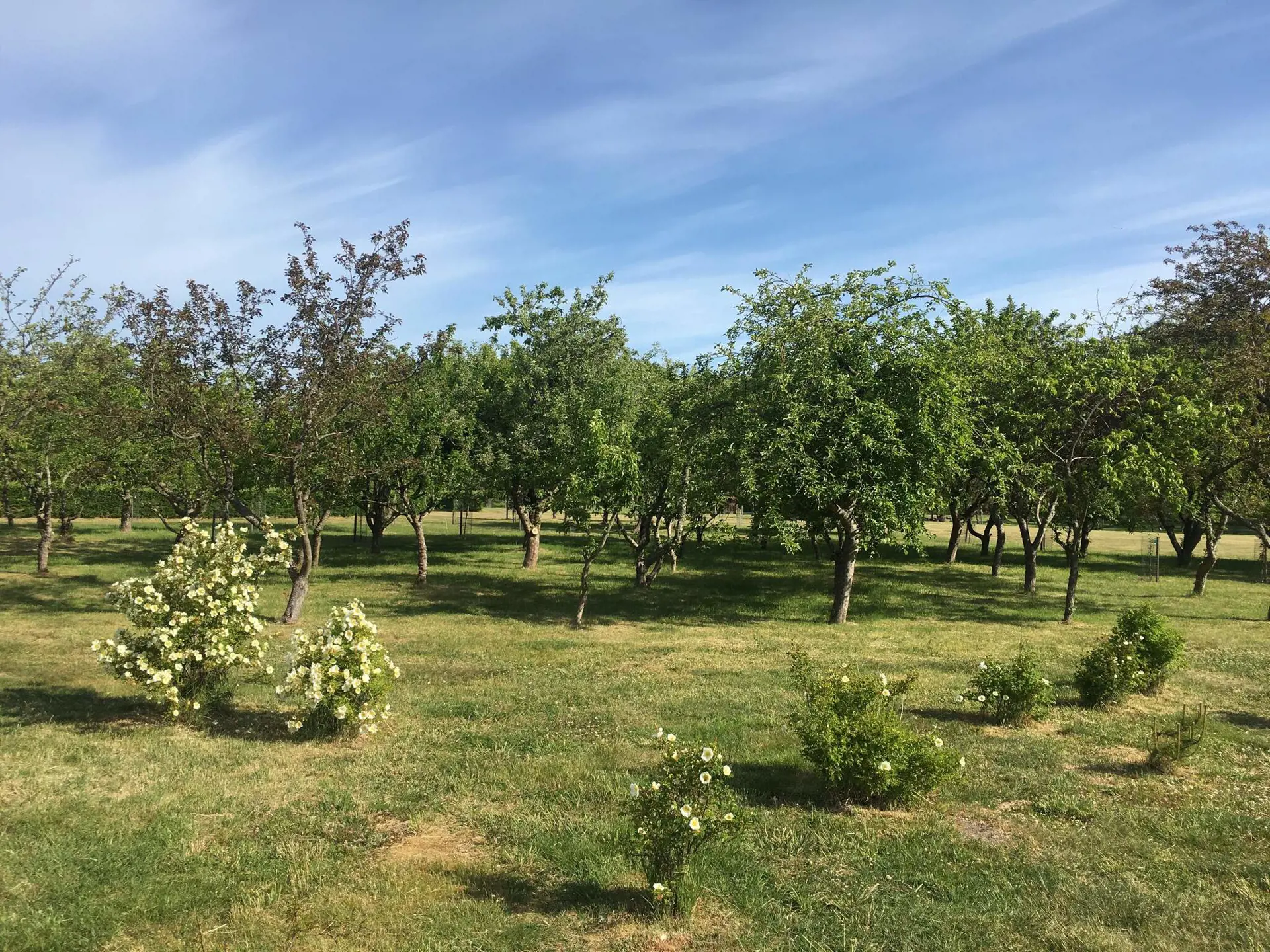 Bild 39 von 40
