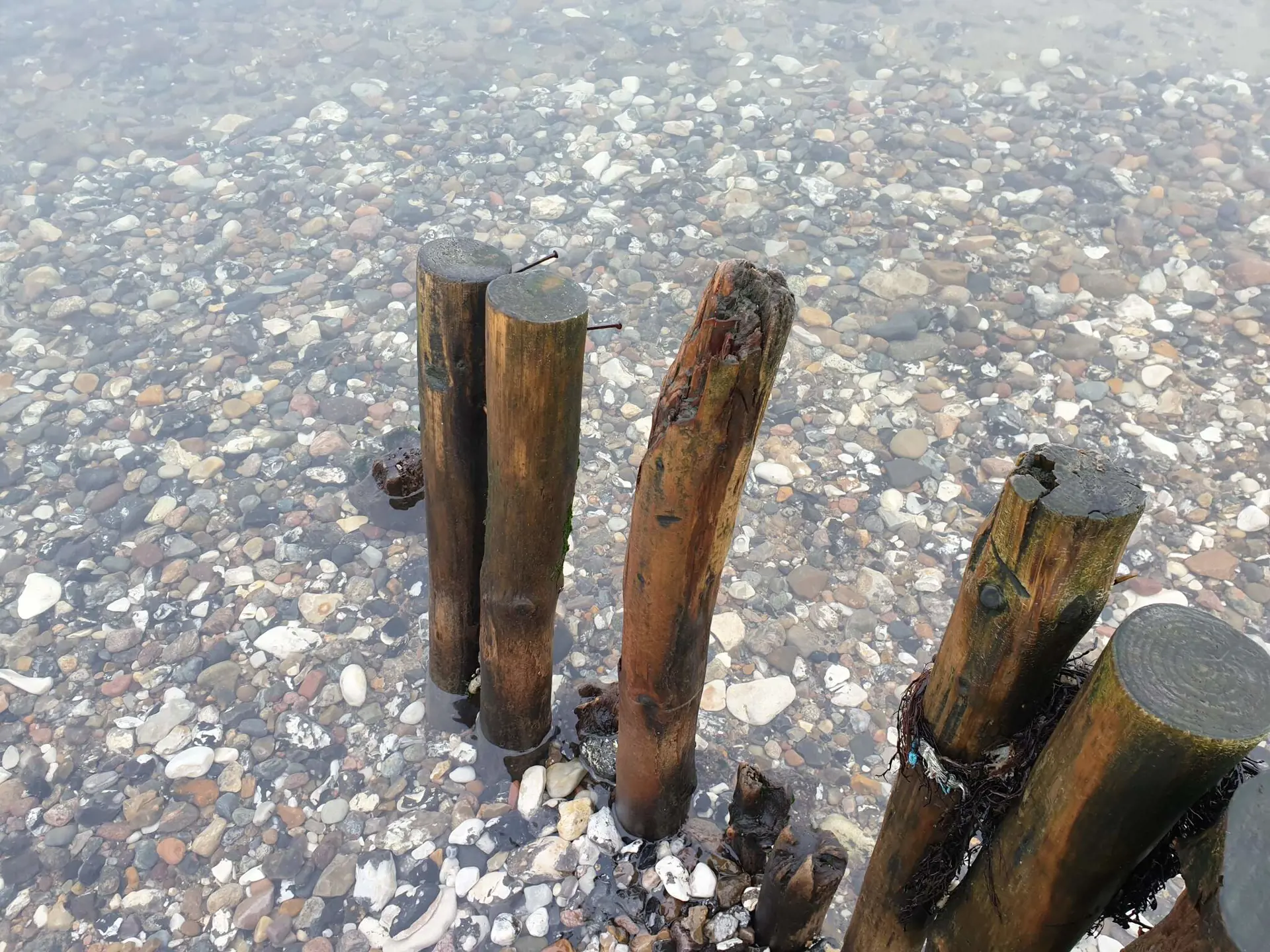 Bild 33 von 37