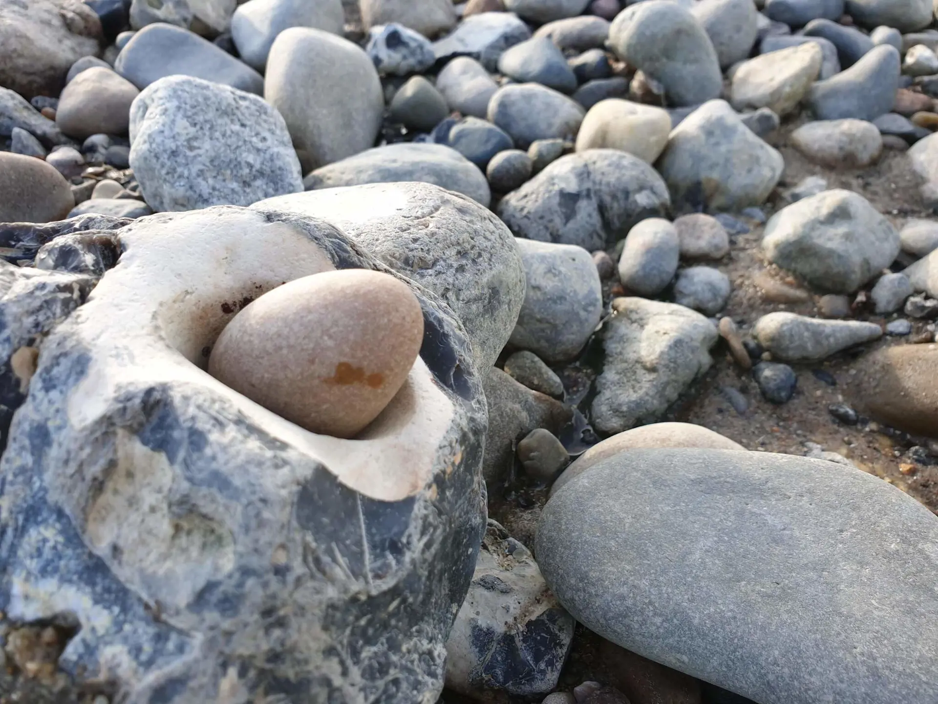 Bild 34 von 37