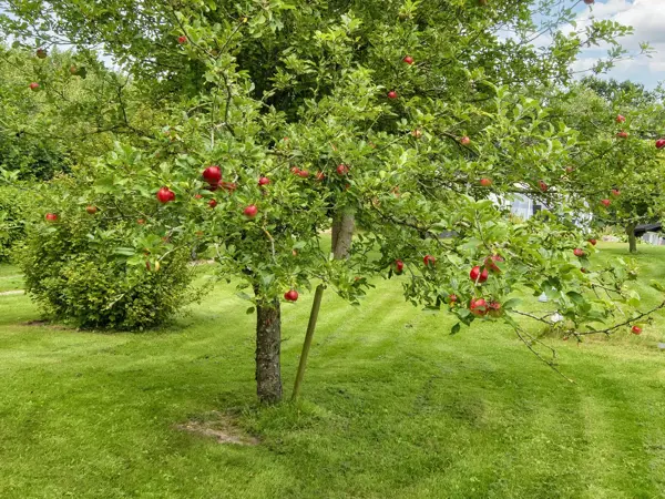Bild 5 von 28
