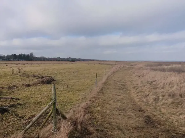 Bild 31 von 37