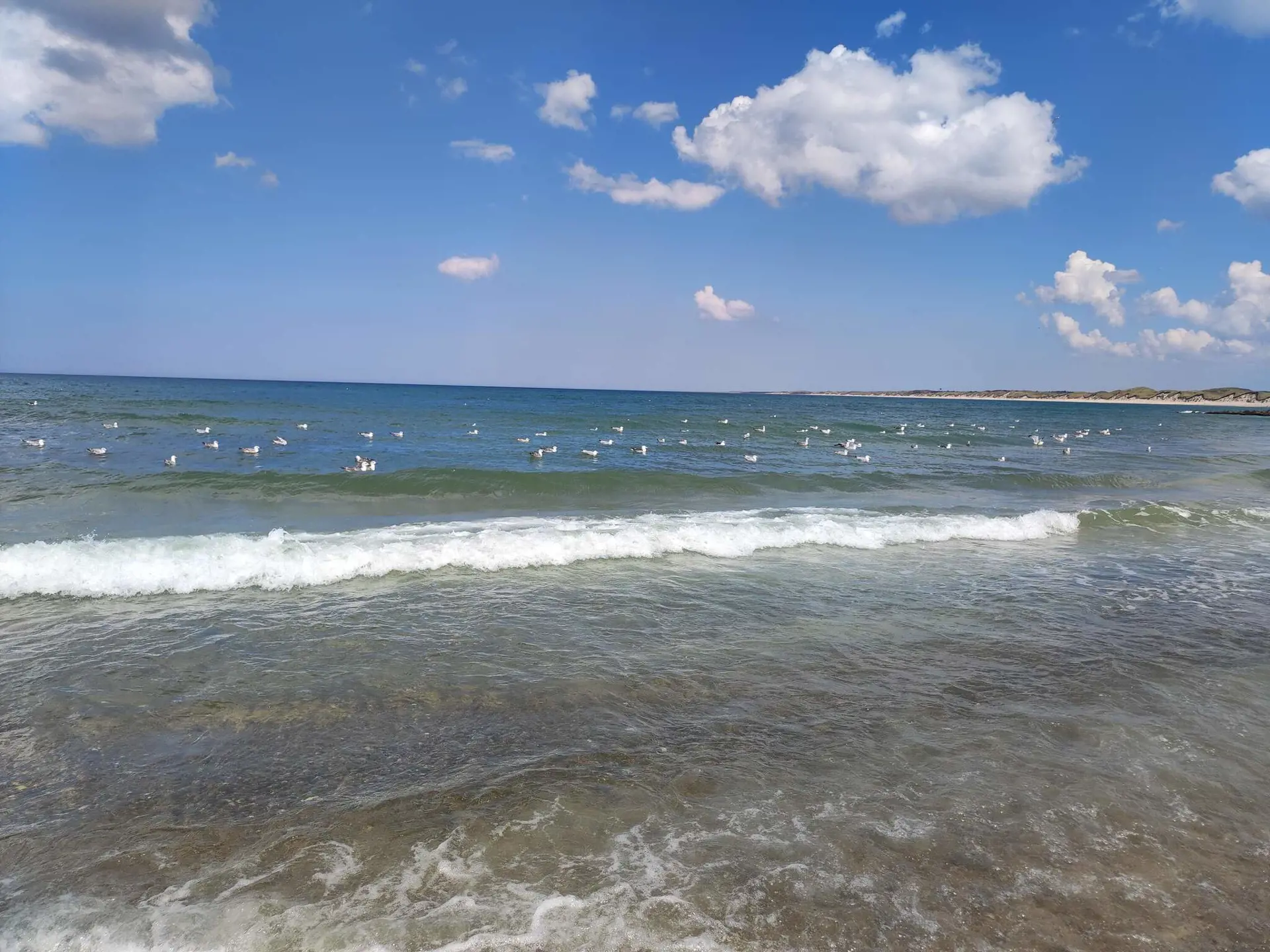 Bild 19 von 34