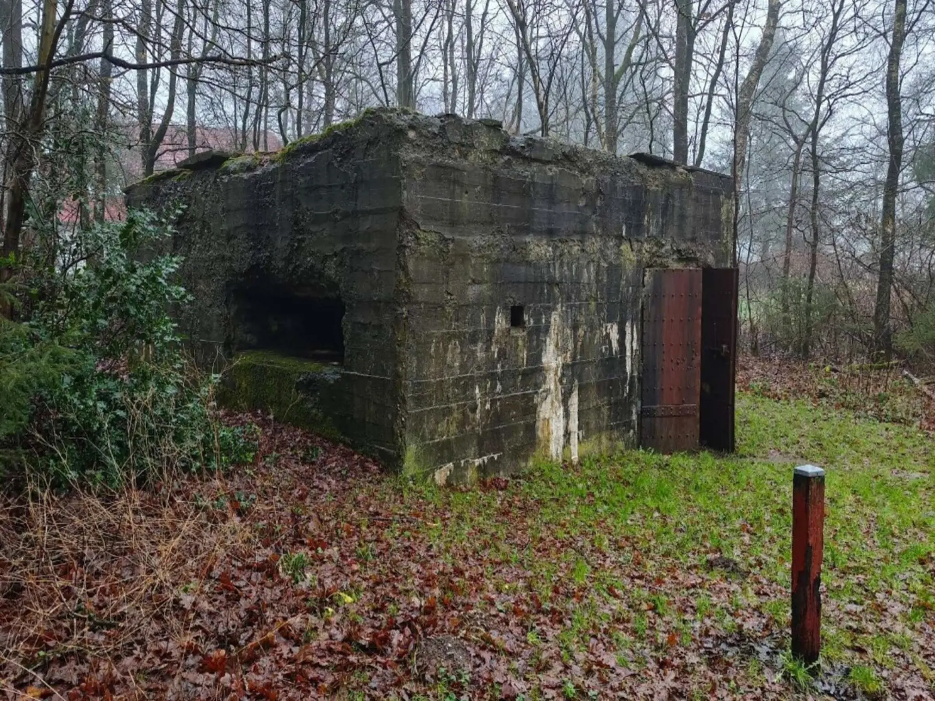 Bild 35 von 40