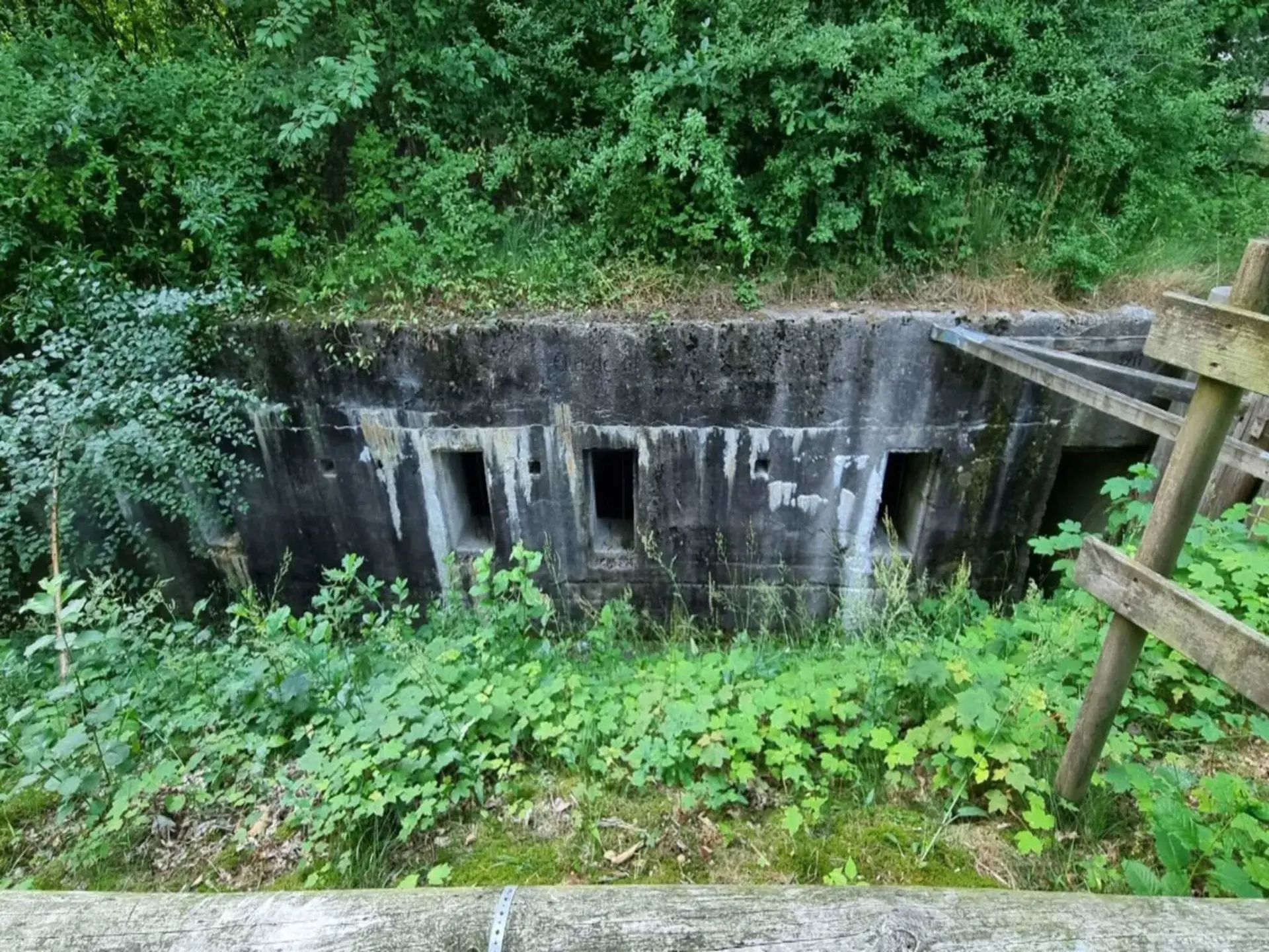 Bild 38 von 40