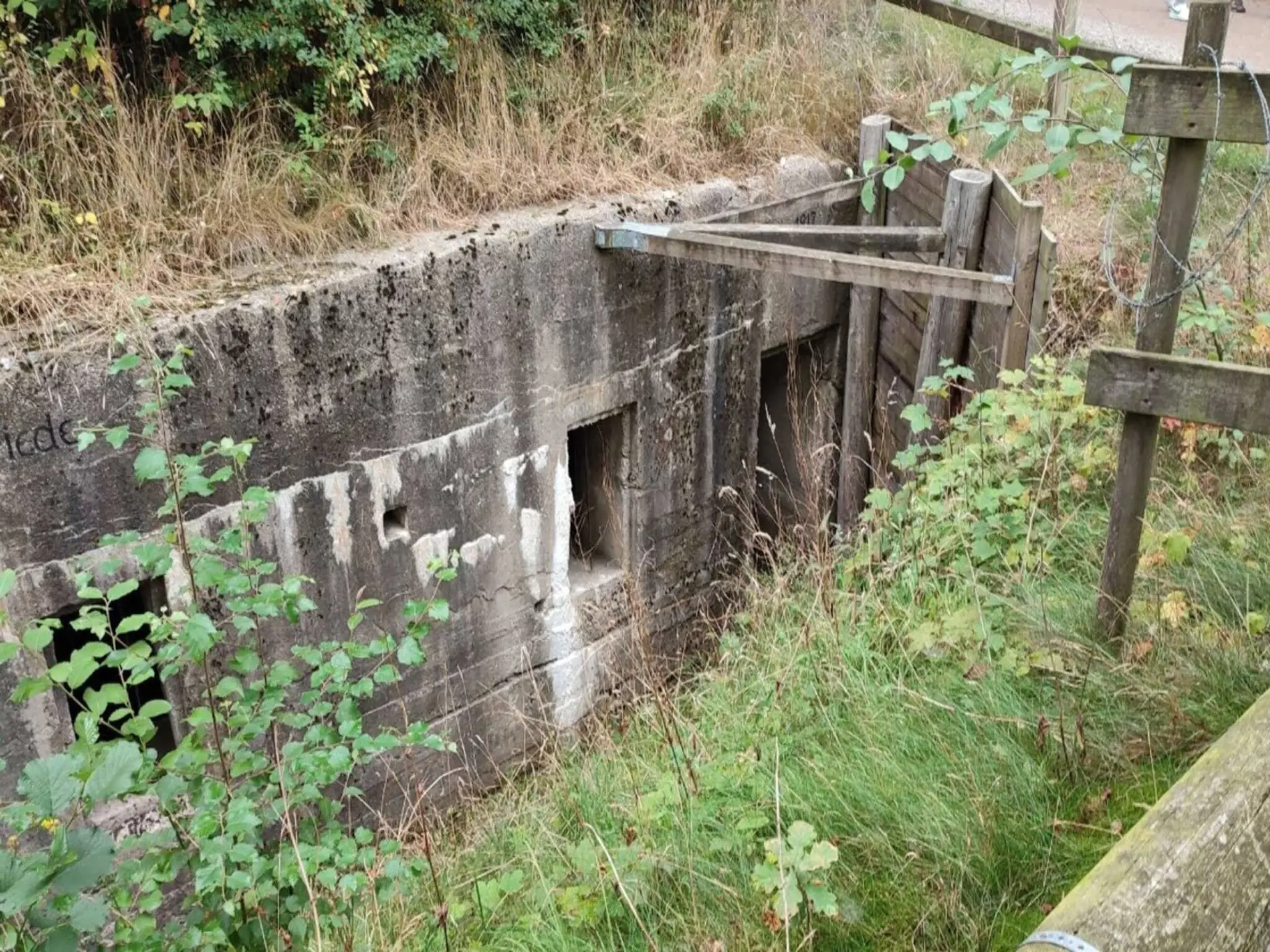 Bild 39 von 40