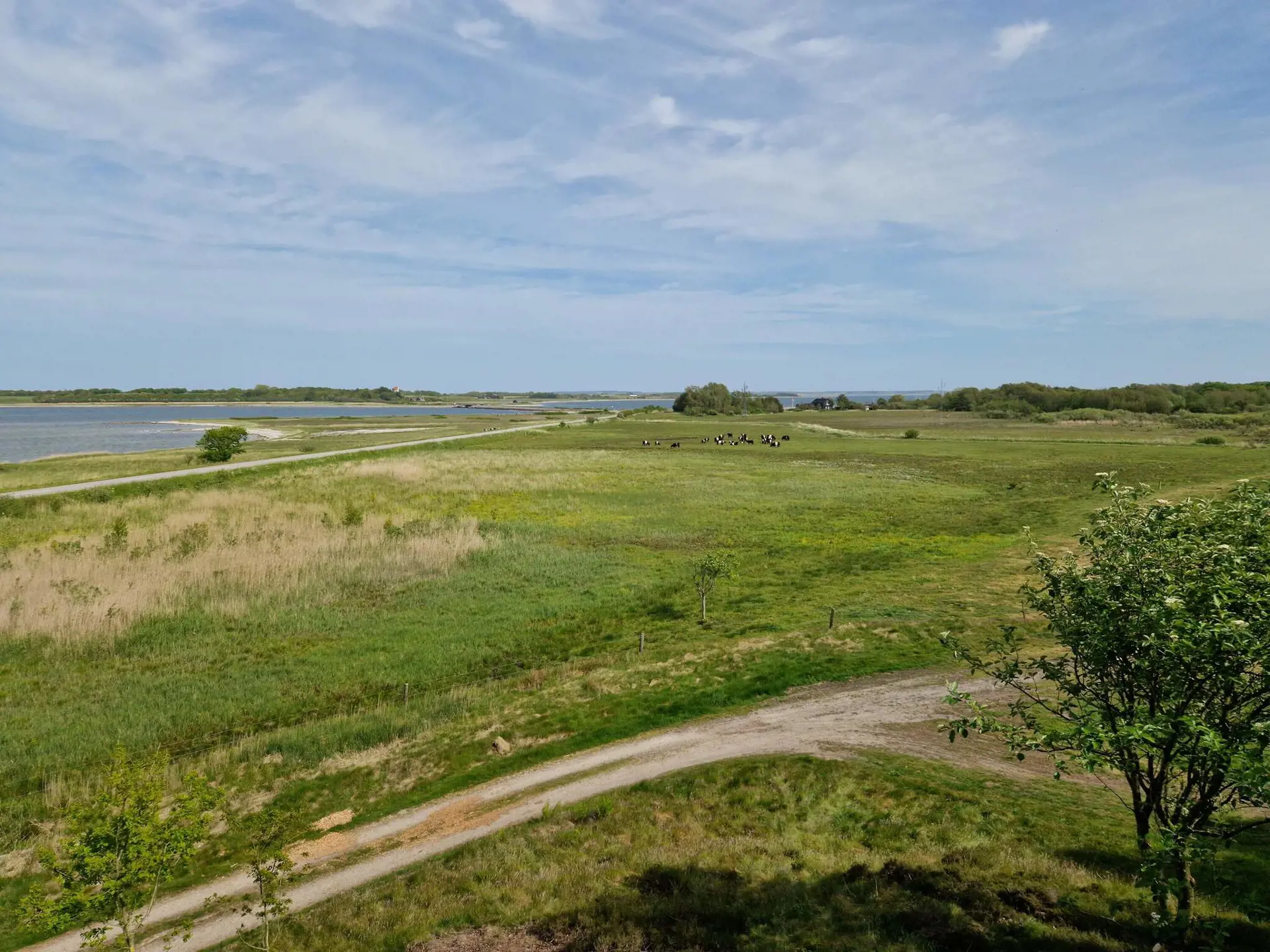 Bild 35 von 35