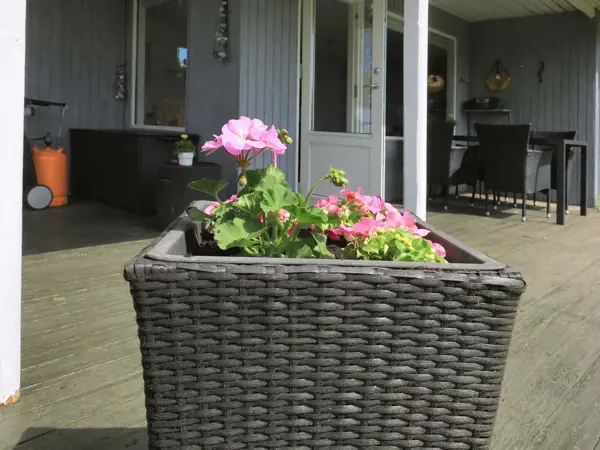 Bild 28 von 30