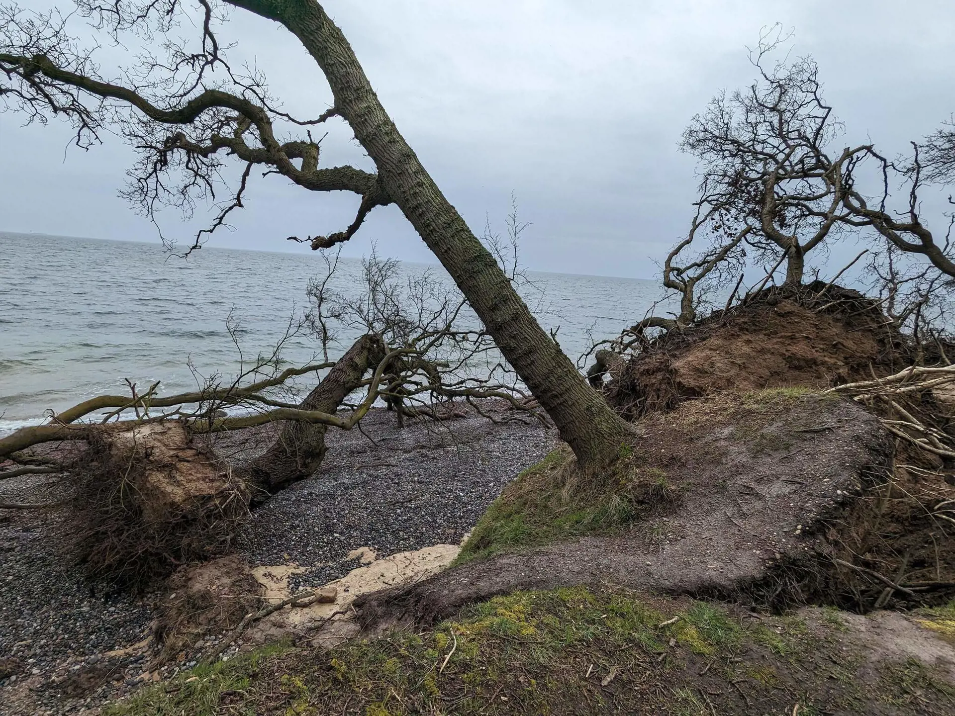 Bild 35 von 36