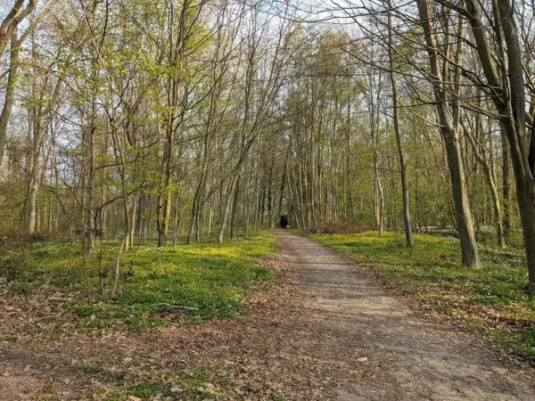 Bild 56 von 56