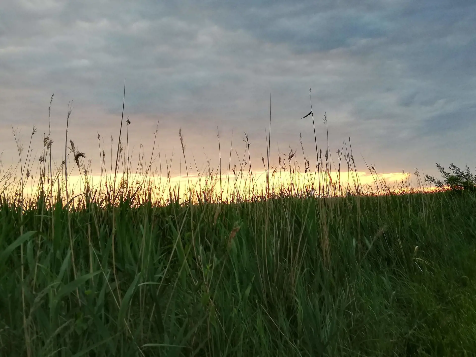 Bild 29 von 36