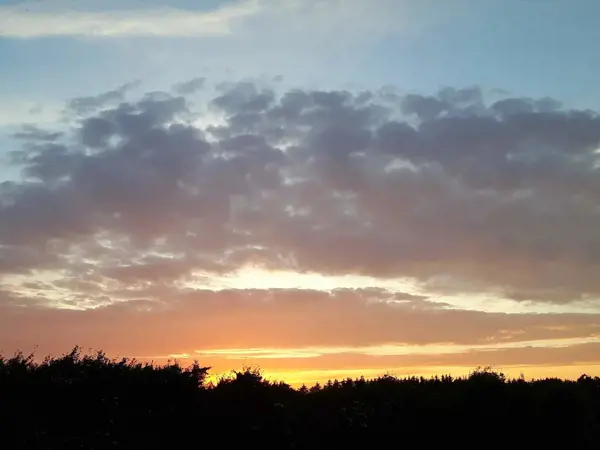 Bild 31 von 31