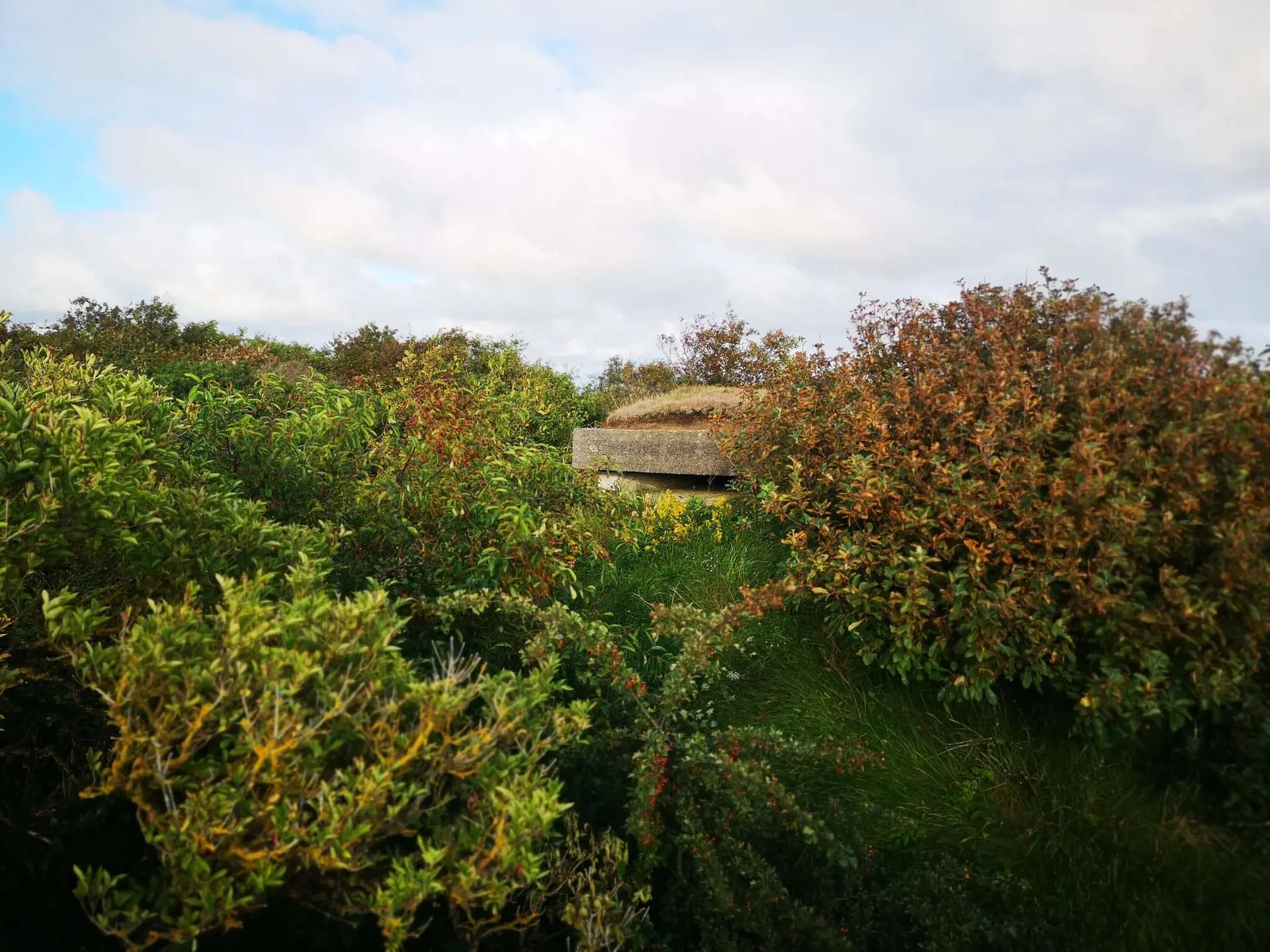 Bild 36 von 42