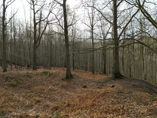 Bild 35 von 35