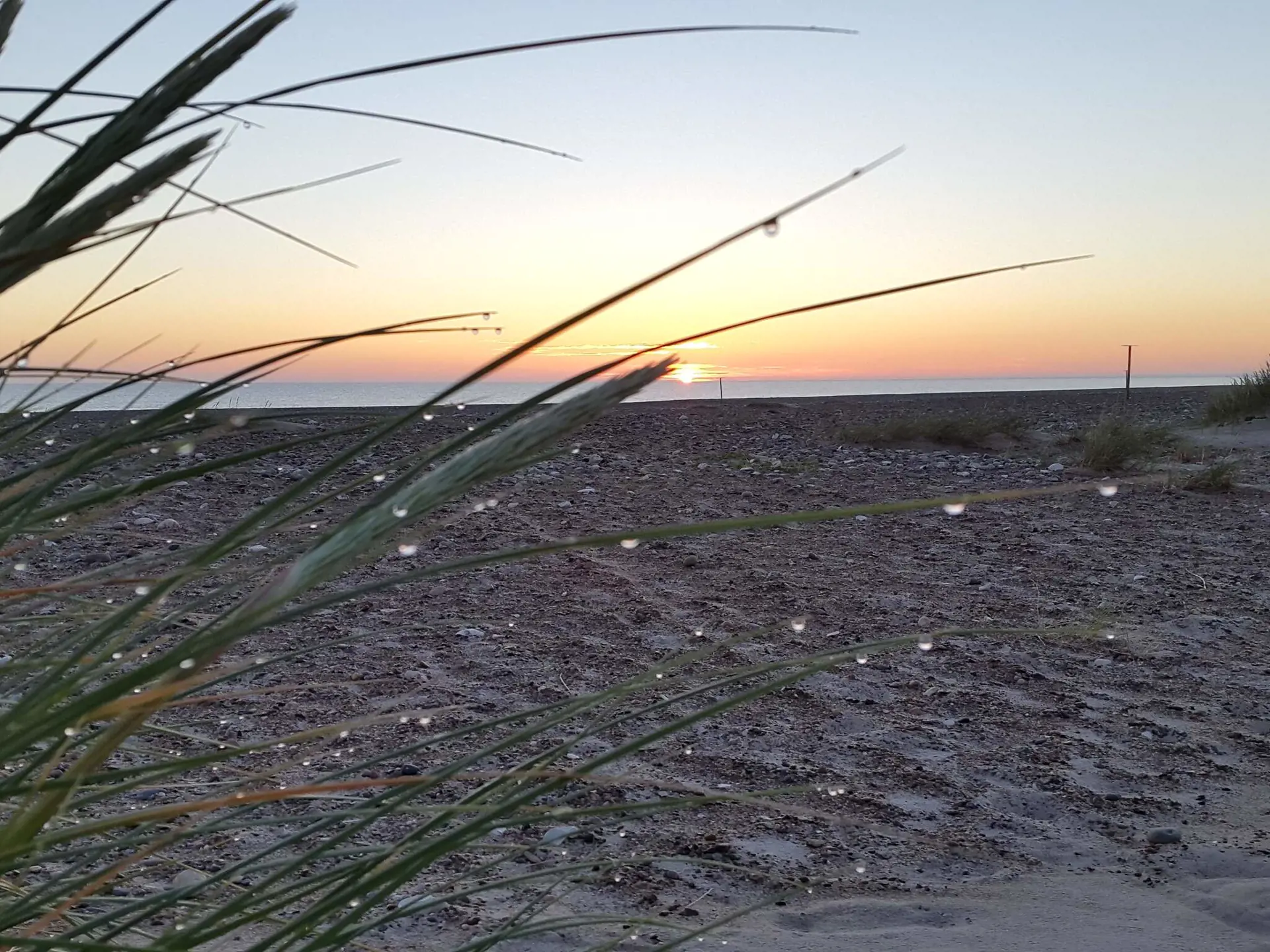 Bild 35 von 35