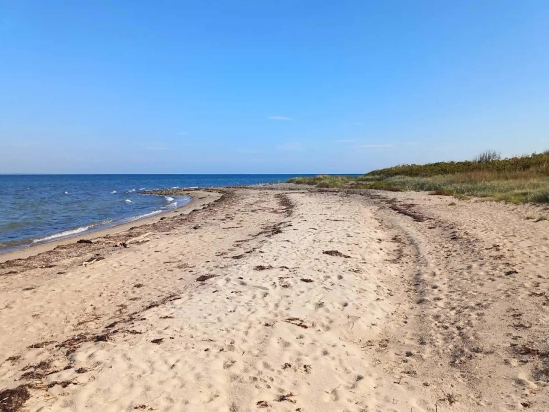 Bild 38 von 55
