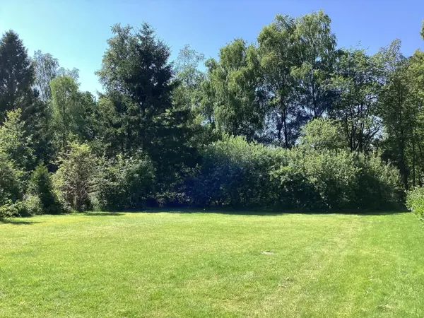 Bild 3 von 29