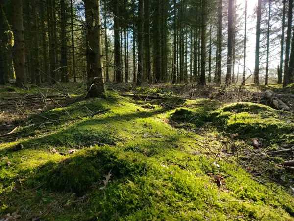 Bild 33 von 37