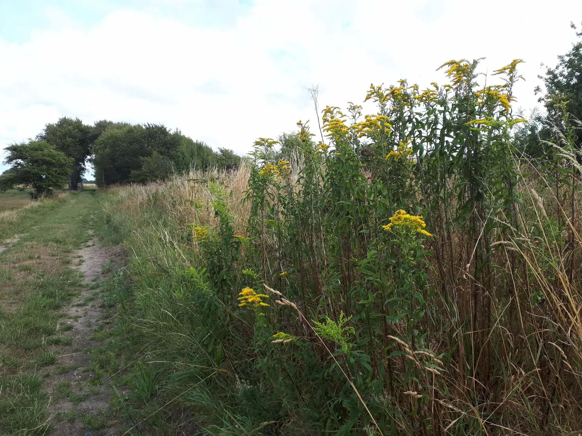 Bild 31 von 40