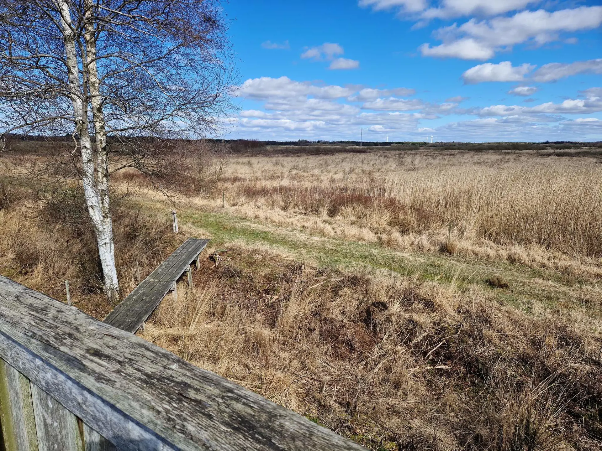 Bild 36 von 40