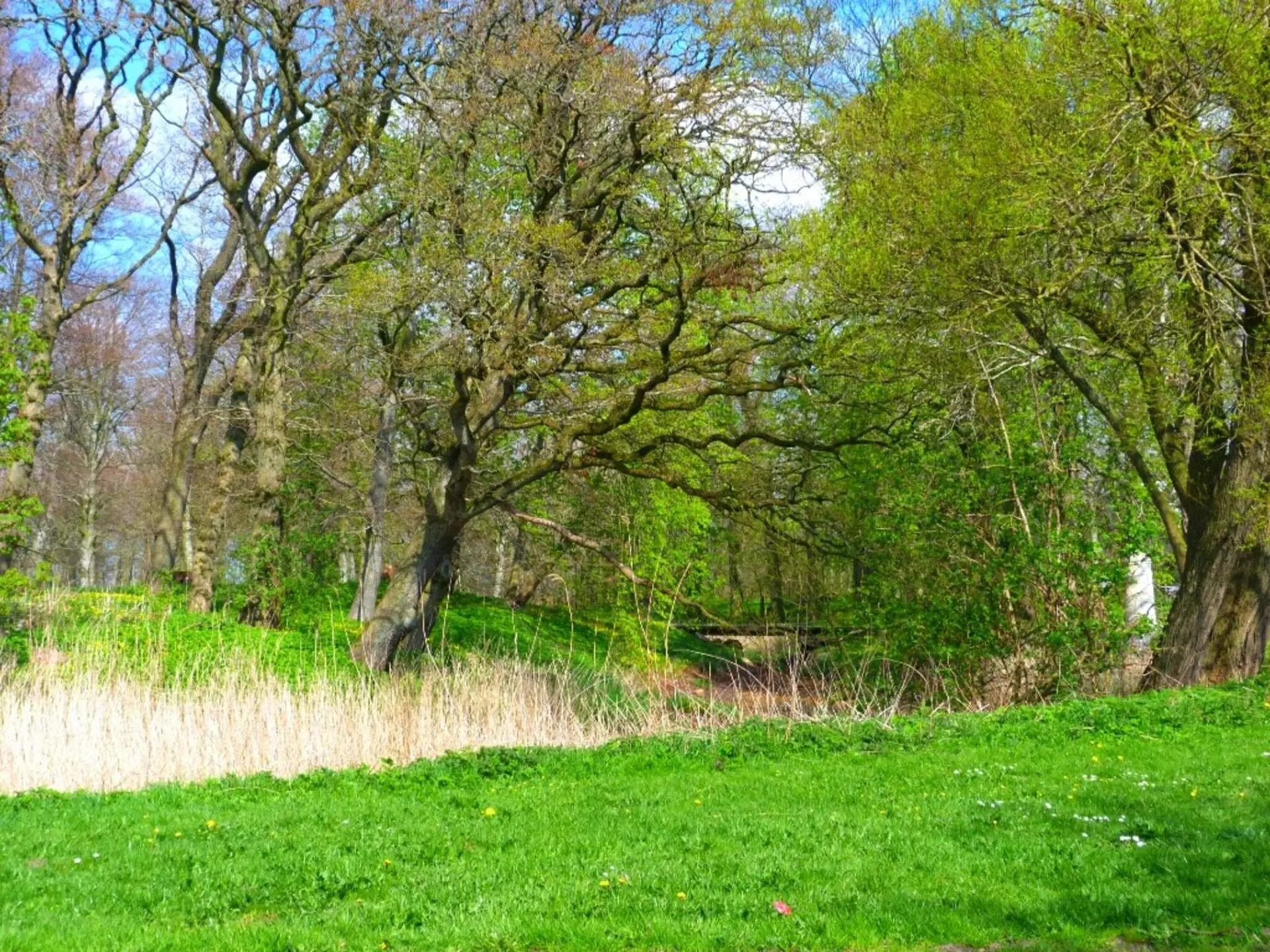Bild 37 von 40