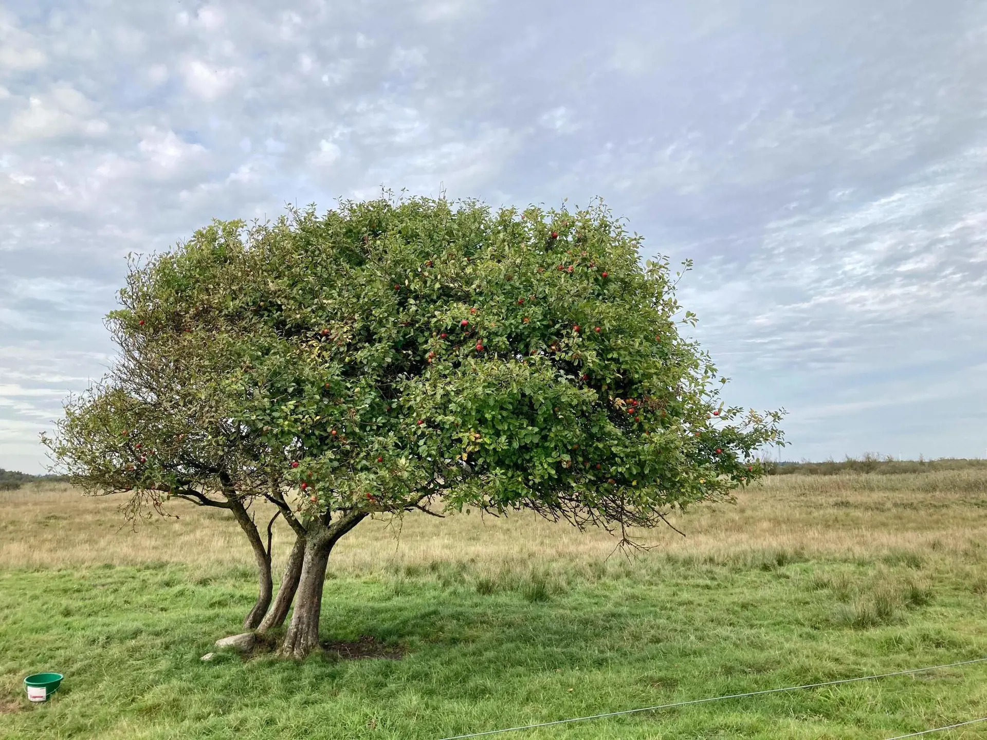 Bild 38 von 40