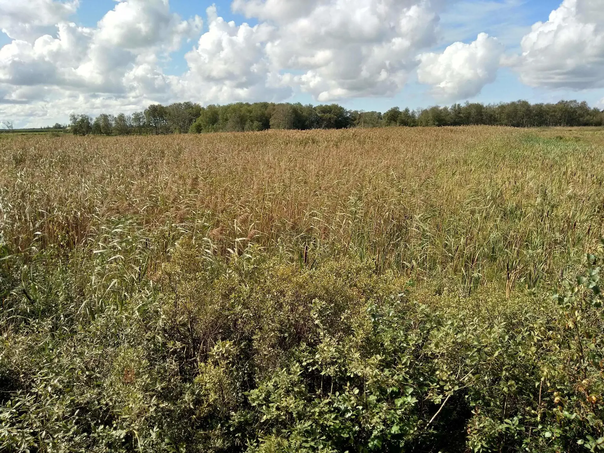 Bild 40 von 40