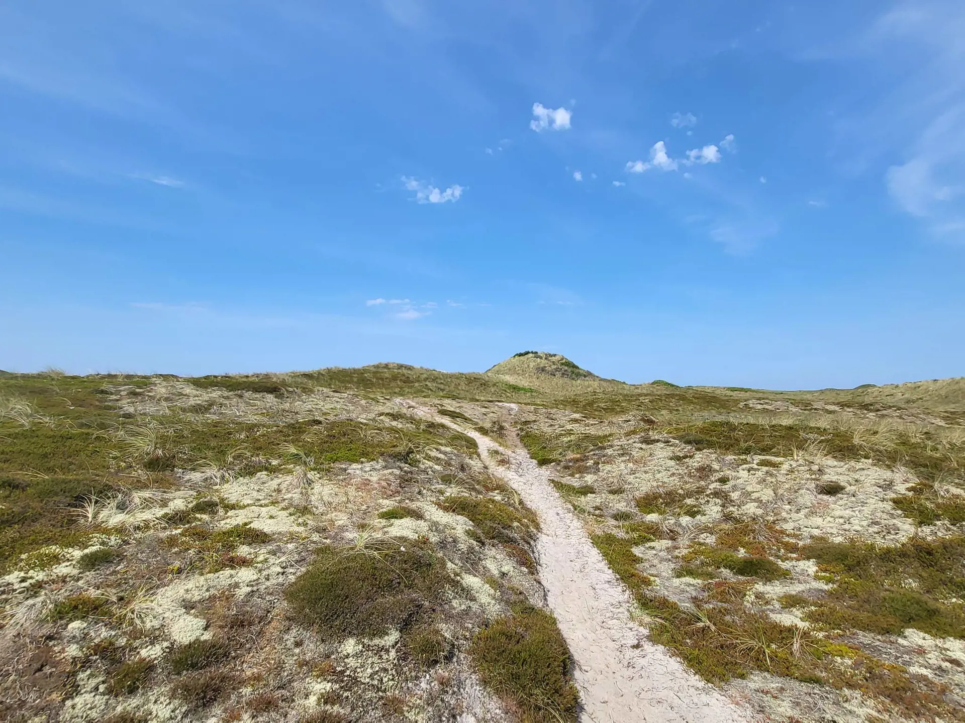 Bild 38 von 40