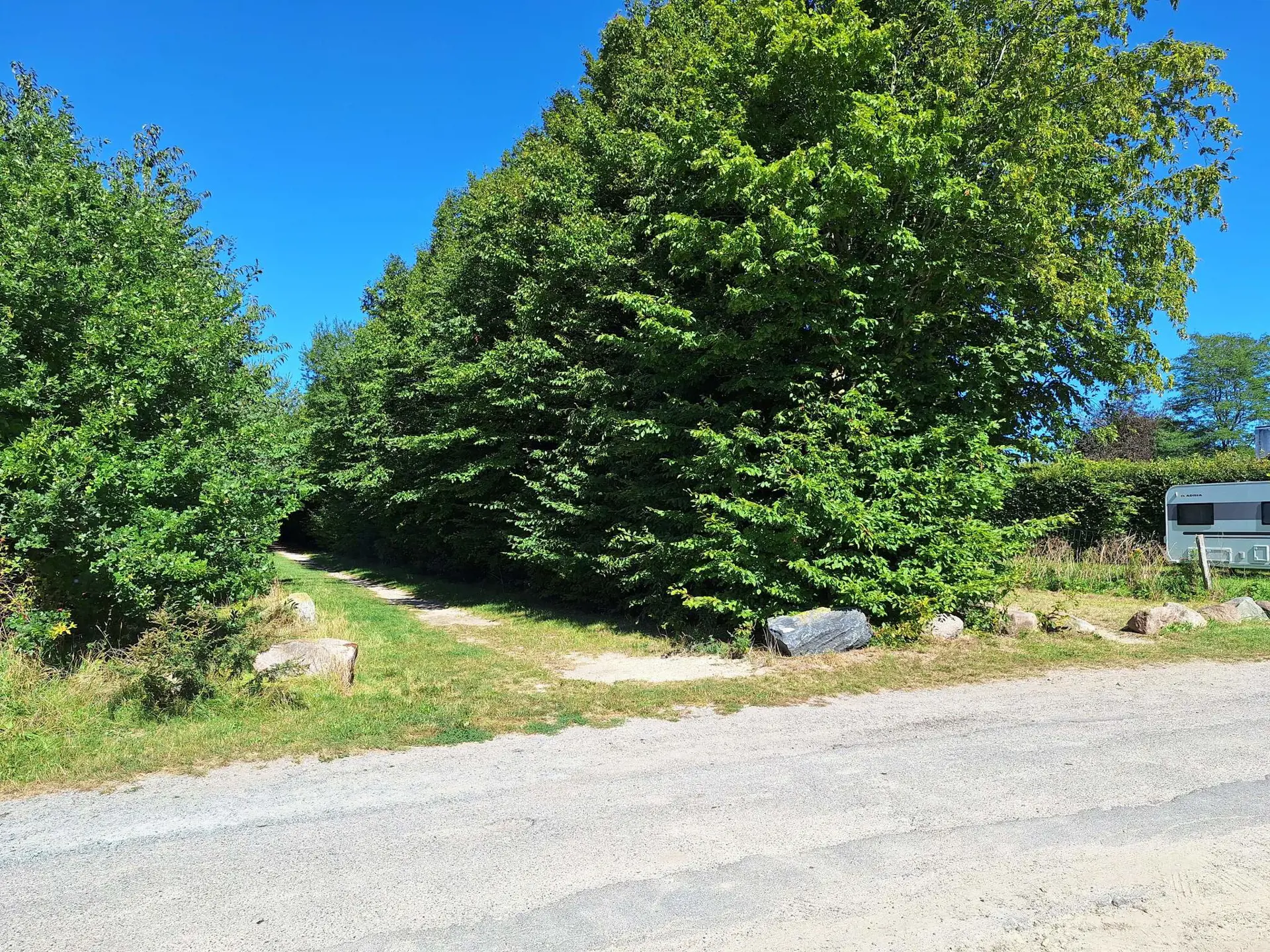 Bild 37 von 39