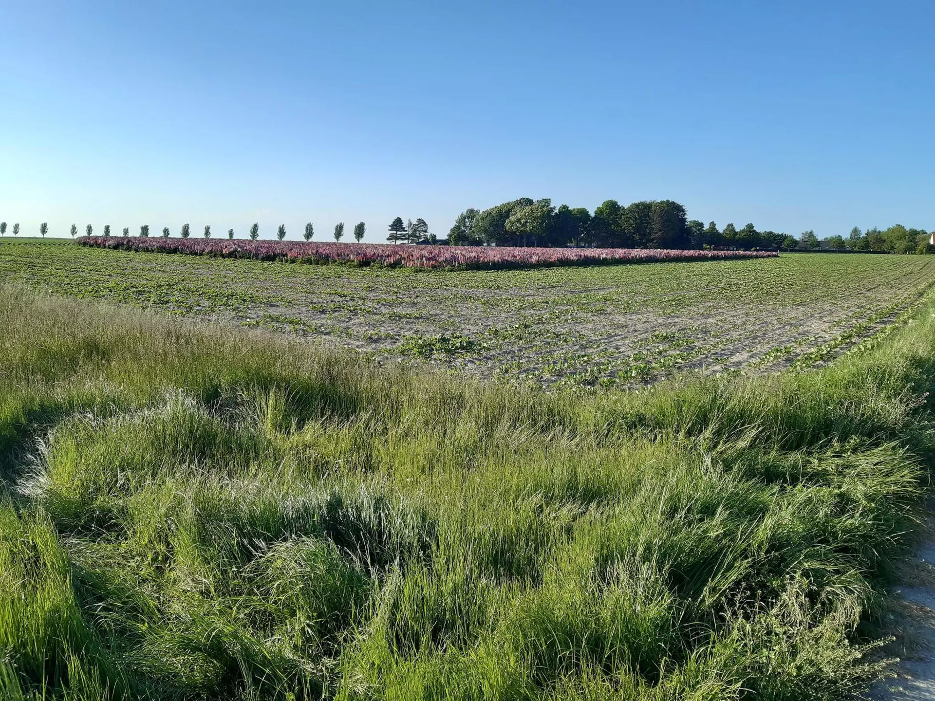 Bild 39 von 39