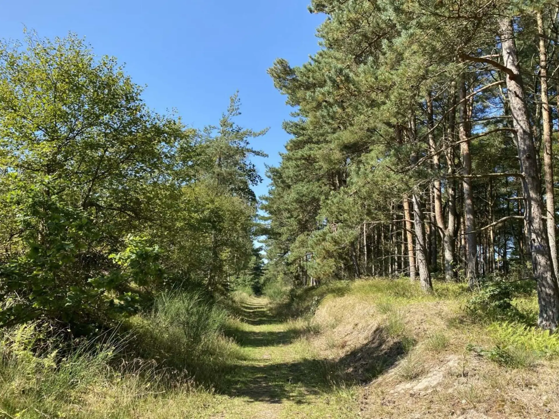 Bild 35 von 46