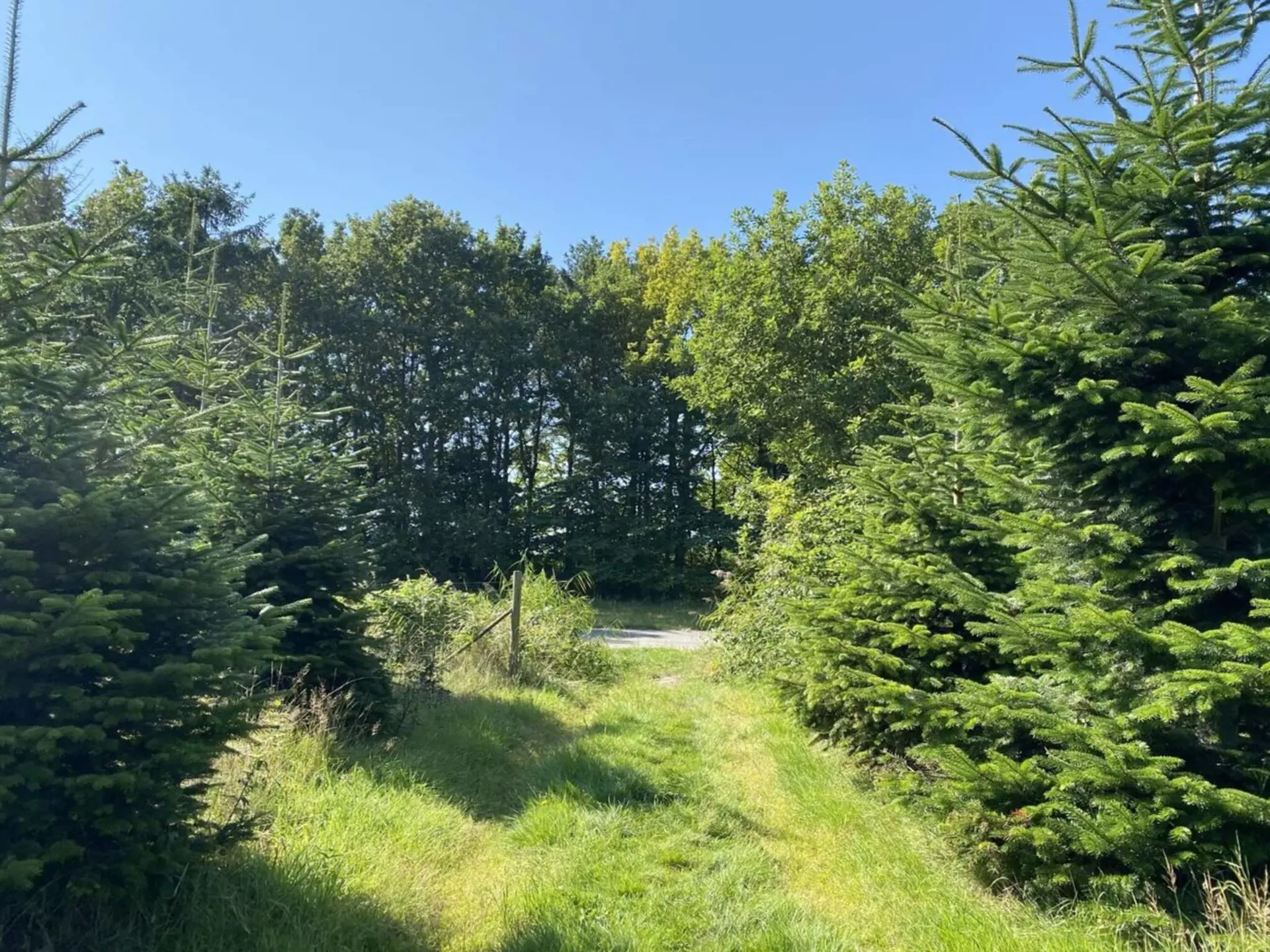 Bild 36 von 46