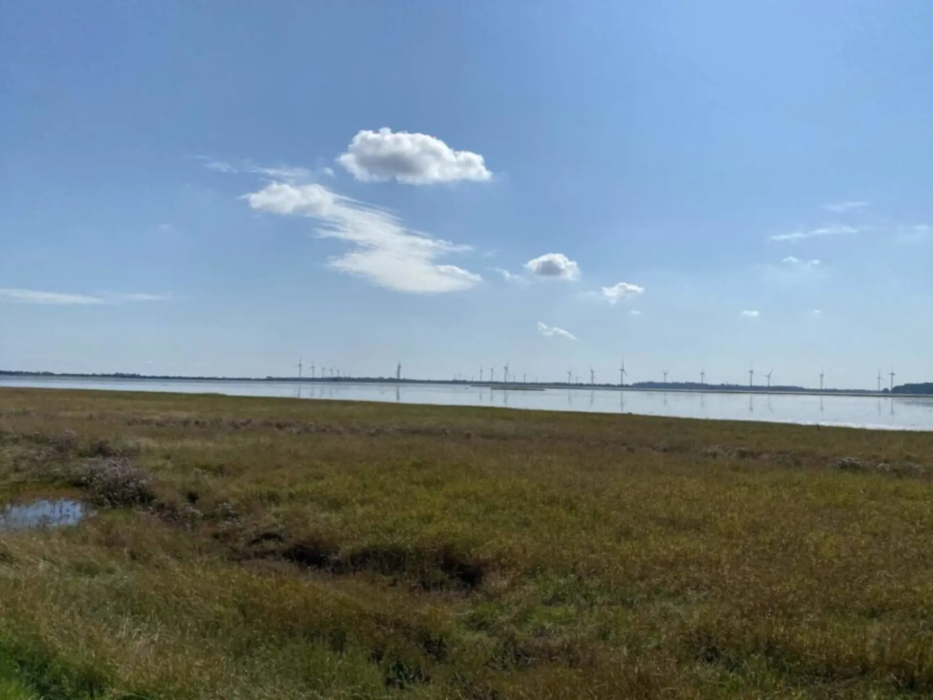 Bild 38 von 46