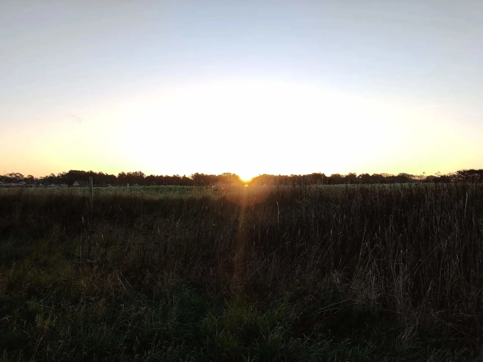 Bild 55 von 57