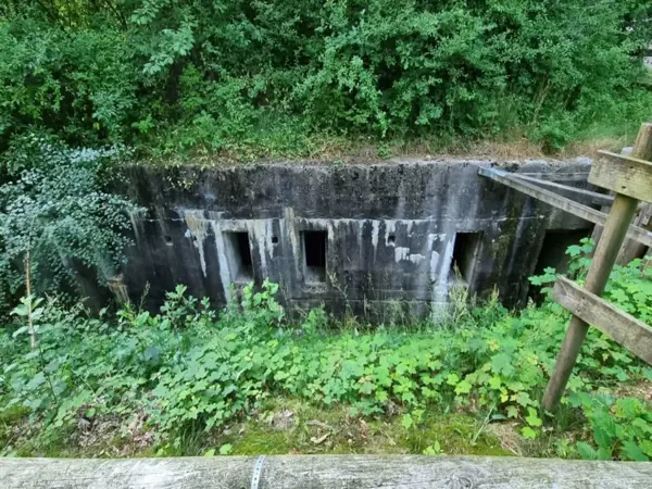 Bild 36 von 38