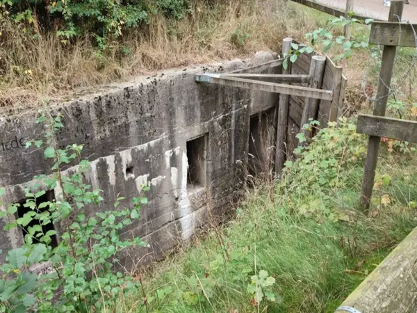 Bild 37 von 38