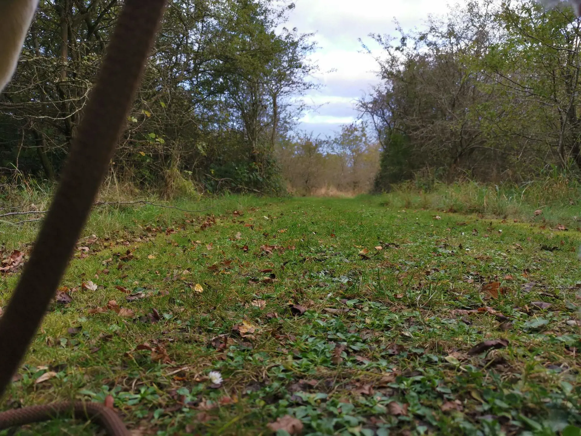 Bild 34 von 38