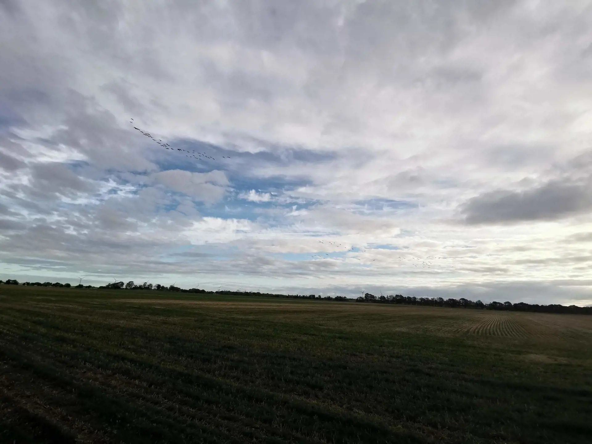 Bild 36 von 38