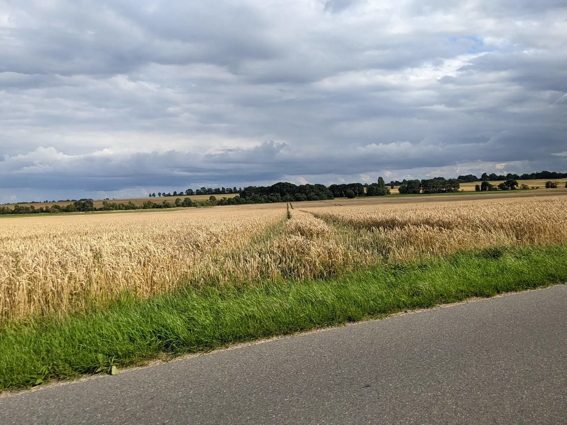 Bild 38 von 41