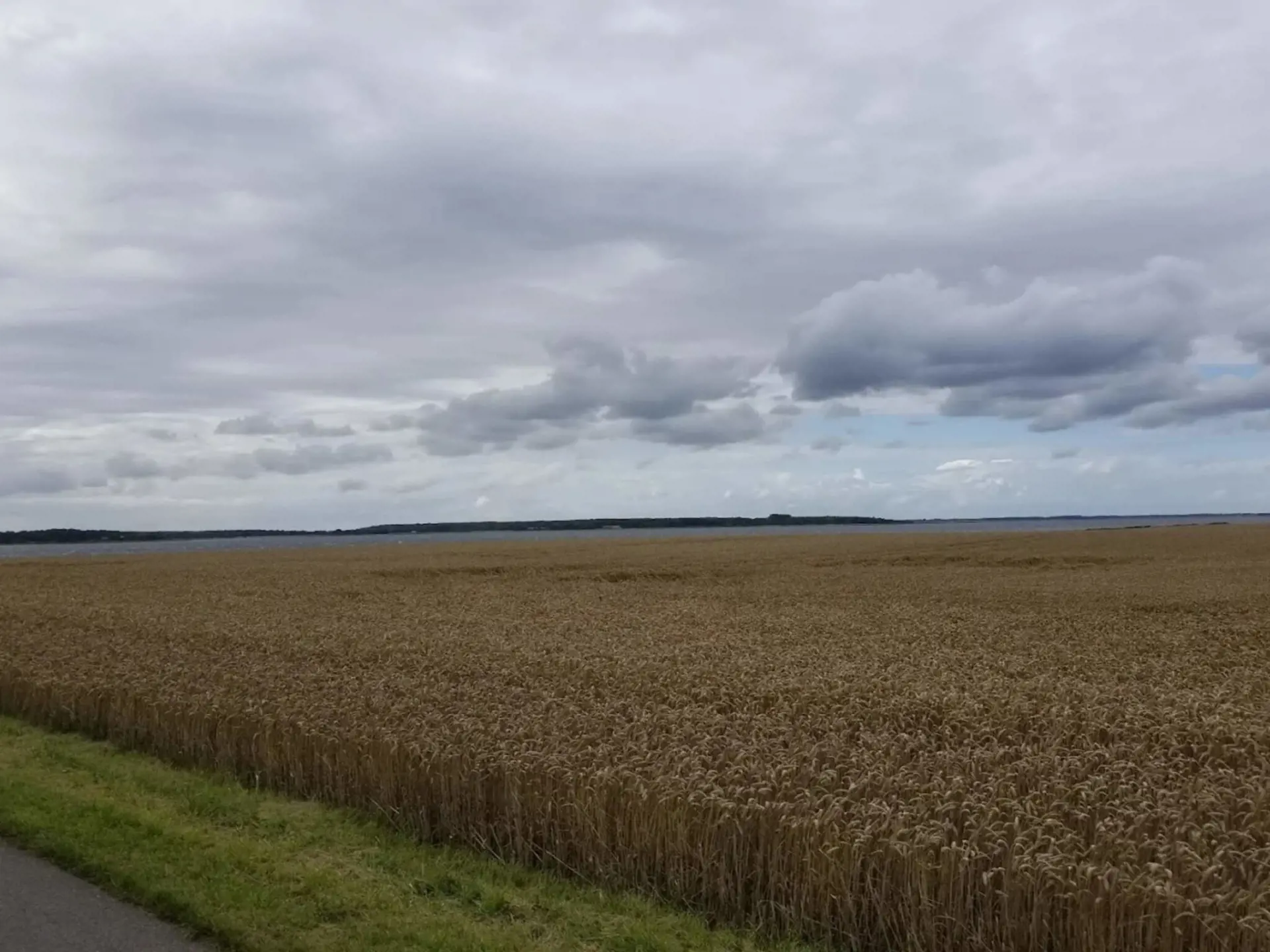 Bild 45 von 46