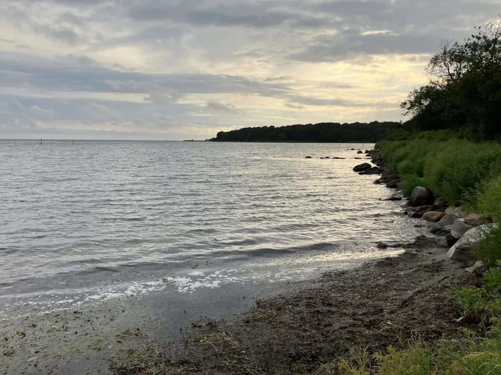 Bild 16 von 54
